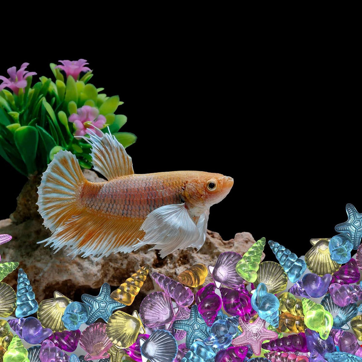 Buntes Acryl Muschel Seestern Edelsteine 95 Stück 500g für Strand Schwimmbad