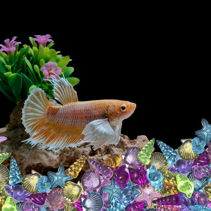 Buntes Acryl Muschel Seestern Edelsteine 95 Stück 500g für Strand Schwimmbad