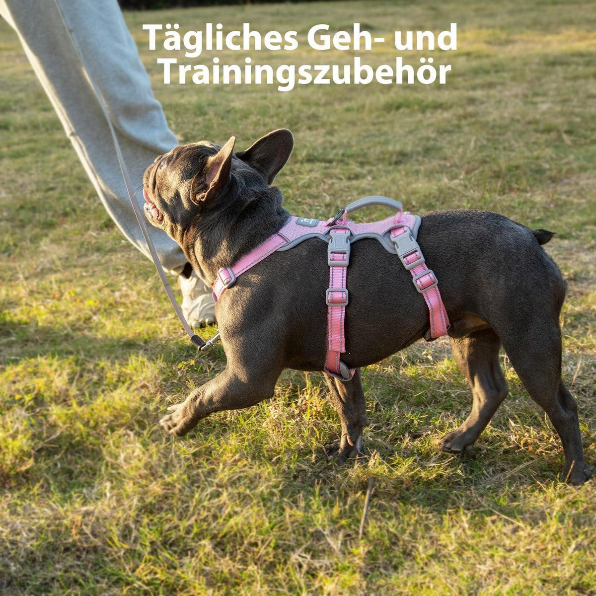 Ausbruchsicher Hundegeschirr Gepolstert Rosa L