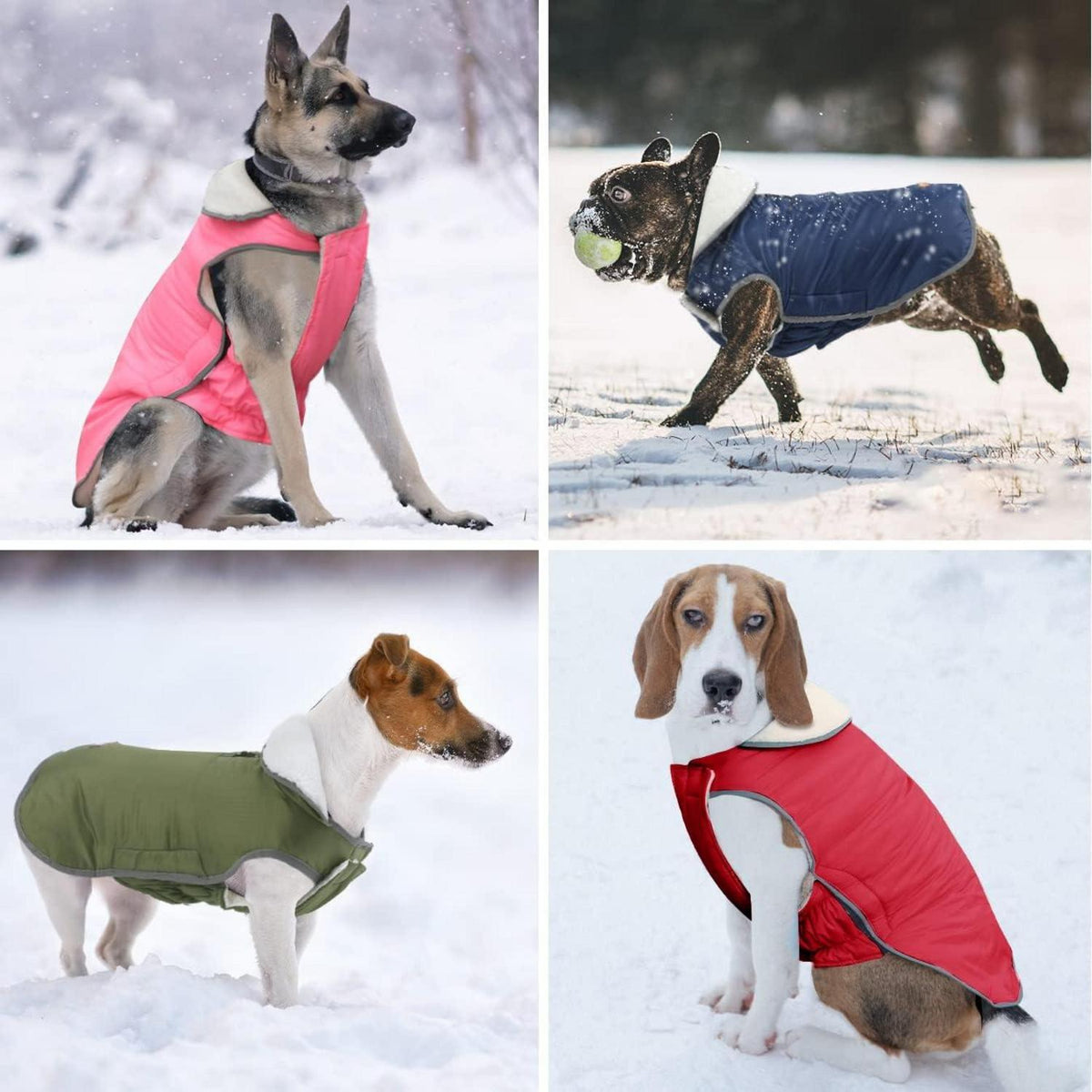 Wasserdichter Winter Hundemantel Fleece Jacke Französische Bulldogge ArmyGreen L