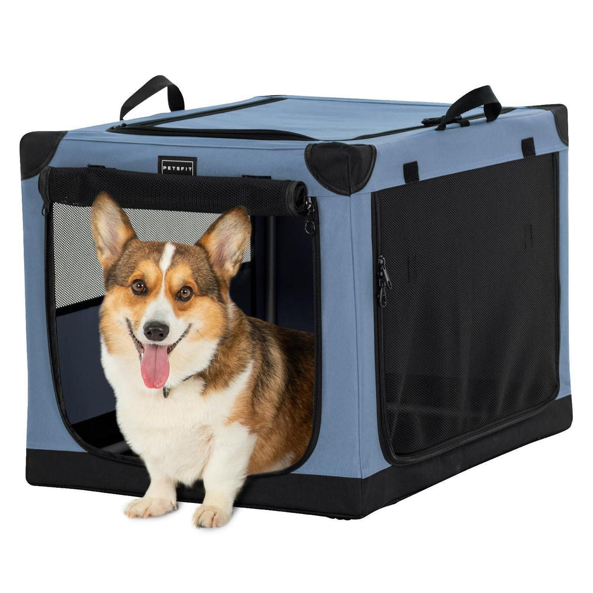 Faltbare Hundebox Blau M – Sicher & Komfortabel für Reisen