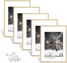 5er Set Fotorahmen Plexi-Glas A4 Portraitrahmen Wohnzimmer Portrait