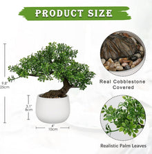 Kunstpflanze Bonsai Baum 25 cm Keramiktopf Künstlich Deko