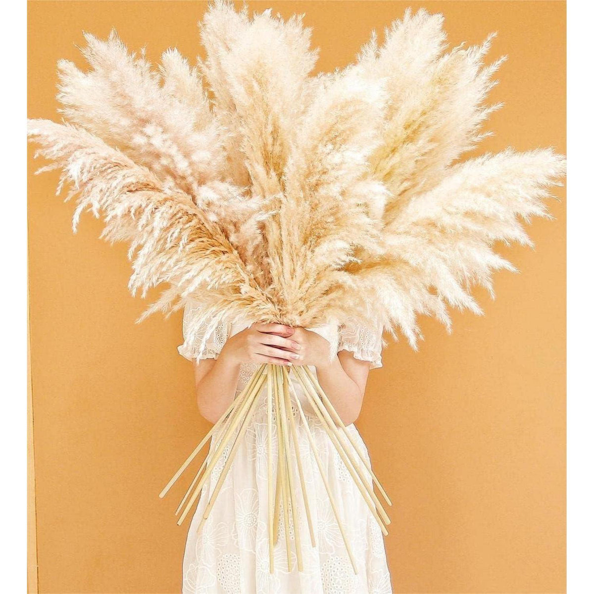 10x XXL Pampasgras Deko für Boho Wohnzimmer & Hochzeit (115cm)