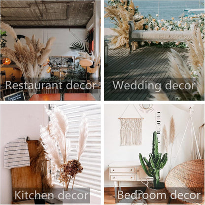 10x XXL Pampasgras Deko für Boho Wohnzimmer & Hochzeit (115cm)