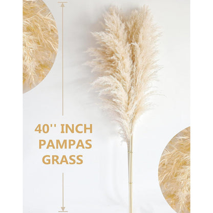10x XXL Pampasgras Deko für Boho Wohnzimmer & Hochzeit (115cm)