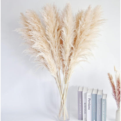10x XXL Pampasgras Deko für Boho Wohnzimmer & Hochzeit (115cm)