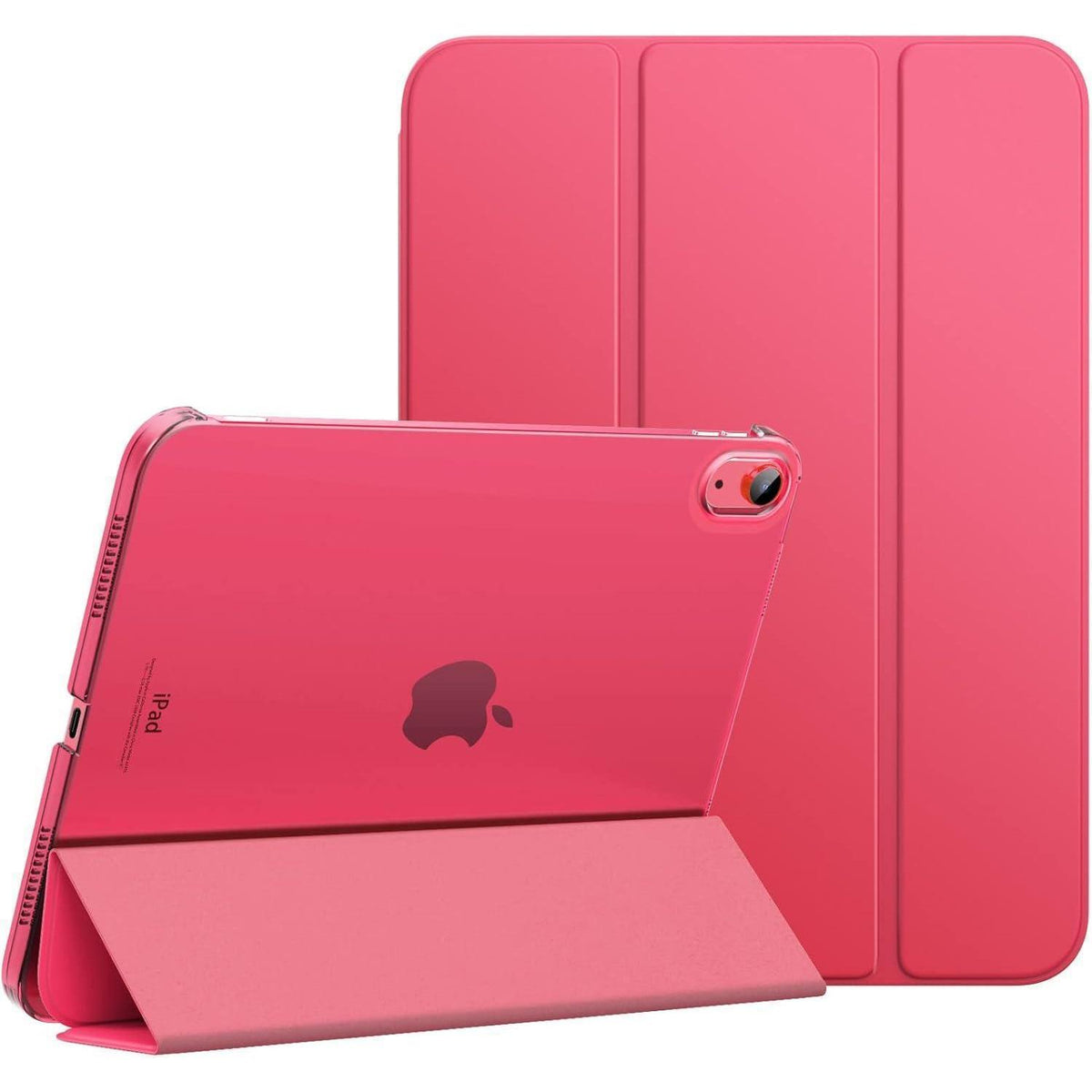 iPad Hülle 11/10. Gen. 2025/2022, Transparent, Wassermelone Rot