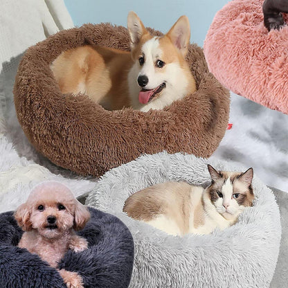 Rundes Hundebett Plüsch – Flauschige Hundematte 110cm Regenbogen