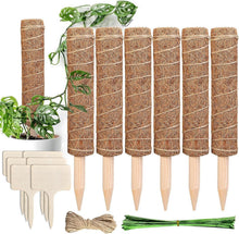 Monstera Rankhilfe 6 Stück Pflanzstäbe Kokos Moosstab 30 cm