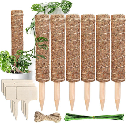 Monstera Rankhilfe 6 Stück Pflanzstäbe Kokos Moosstab 30 cm