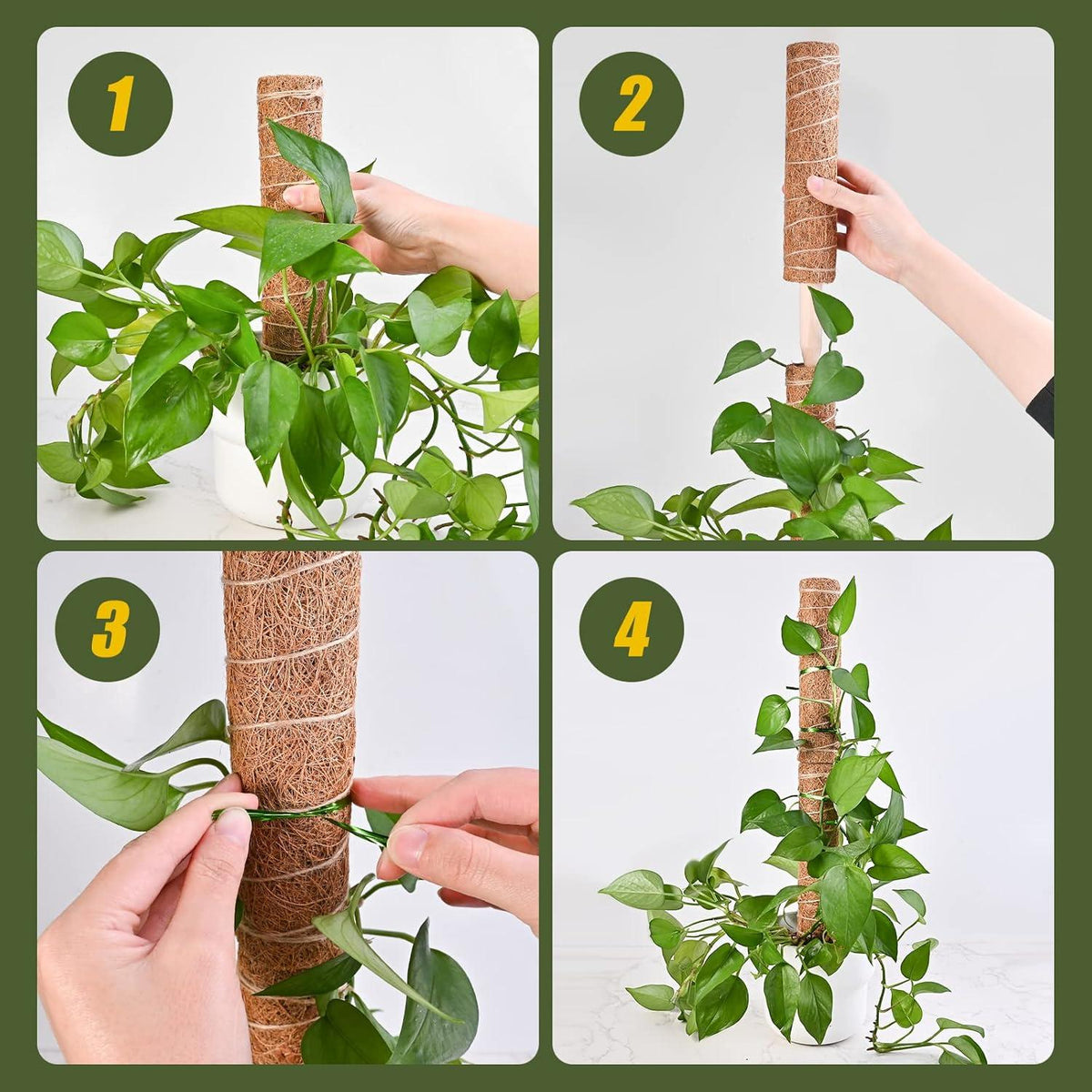 Monstera Rankhilfe 6 Stück 30 cm Kokos Moosstäbe Pflanzenstütze