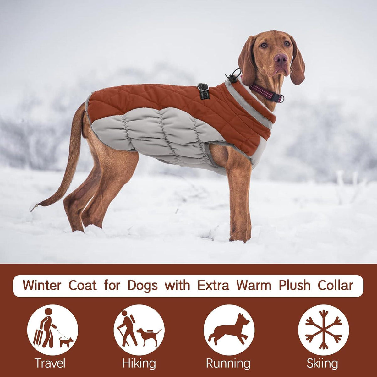 Kuoser Wasserdichter Hundemantel Winterjacke für Kleine Mittlere Große Hunde XS Braun