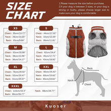 Hundemantel Wasserdicht Winterjacke Warm Reflektierend