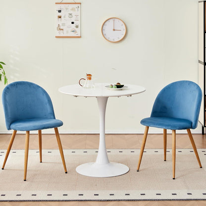Samt Esszimmerstühle Set (2/4/6) – Blau
