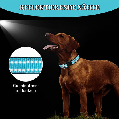 Reflektierendes Hundehalsband Blau S – Verstellbar & Atmungsaktiv