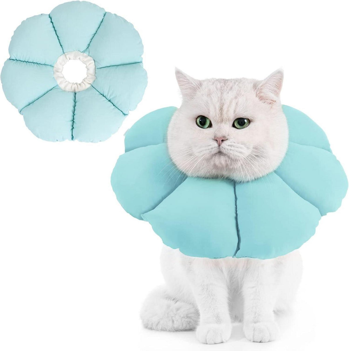Leckschutz Katzenhalskrause Verstellbarer Halskragen Blau Klein