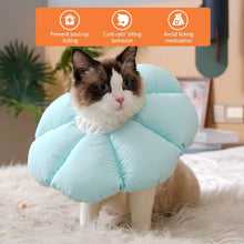 Avont Halskrause Katze Blau Leckschutz Weich Verstellbar