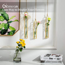 Glasseam Reagenzglas Vasen Set 6 Stück Gold Vintage Glasvase