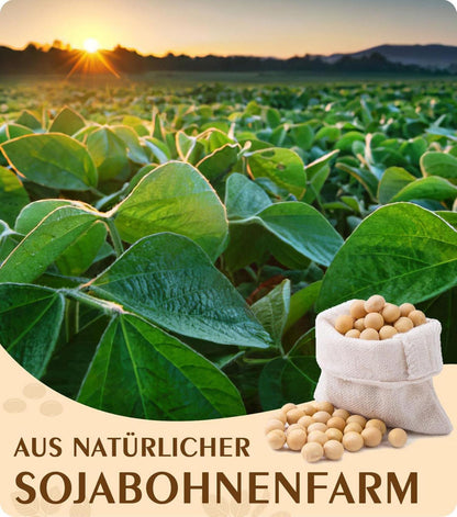 100% Natürliches Sojawachs für Kerzenherstellung 1.8kg Bio-Qualität