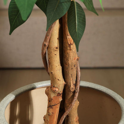 Kunstpflanze Ficusbaum 180 cm Naturholzstamm Büro Zuhause deco
