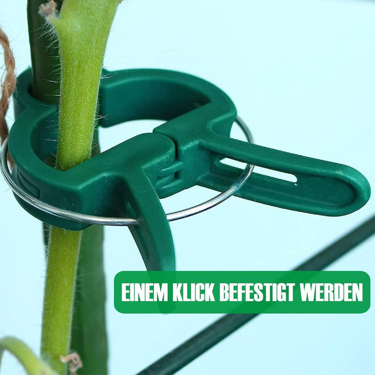 Pflanzenclips für Rankpflanzen, 48 Stück, stabil und pflanzenfreundlich