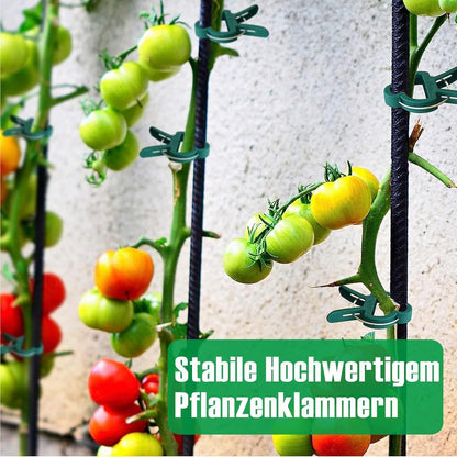 Pflanzenclips für Rankpflanzen, 48 Stück, stabil und pflanzenfreundlich