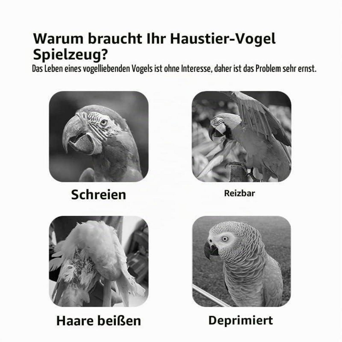 Papagei Spielplatz & Vogelständer – 48x33.5x94.5cm