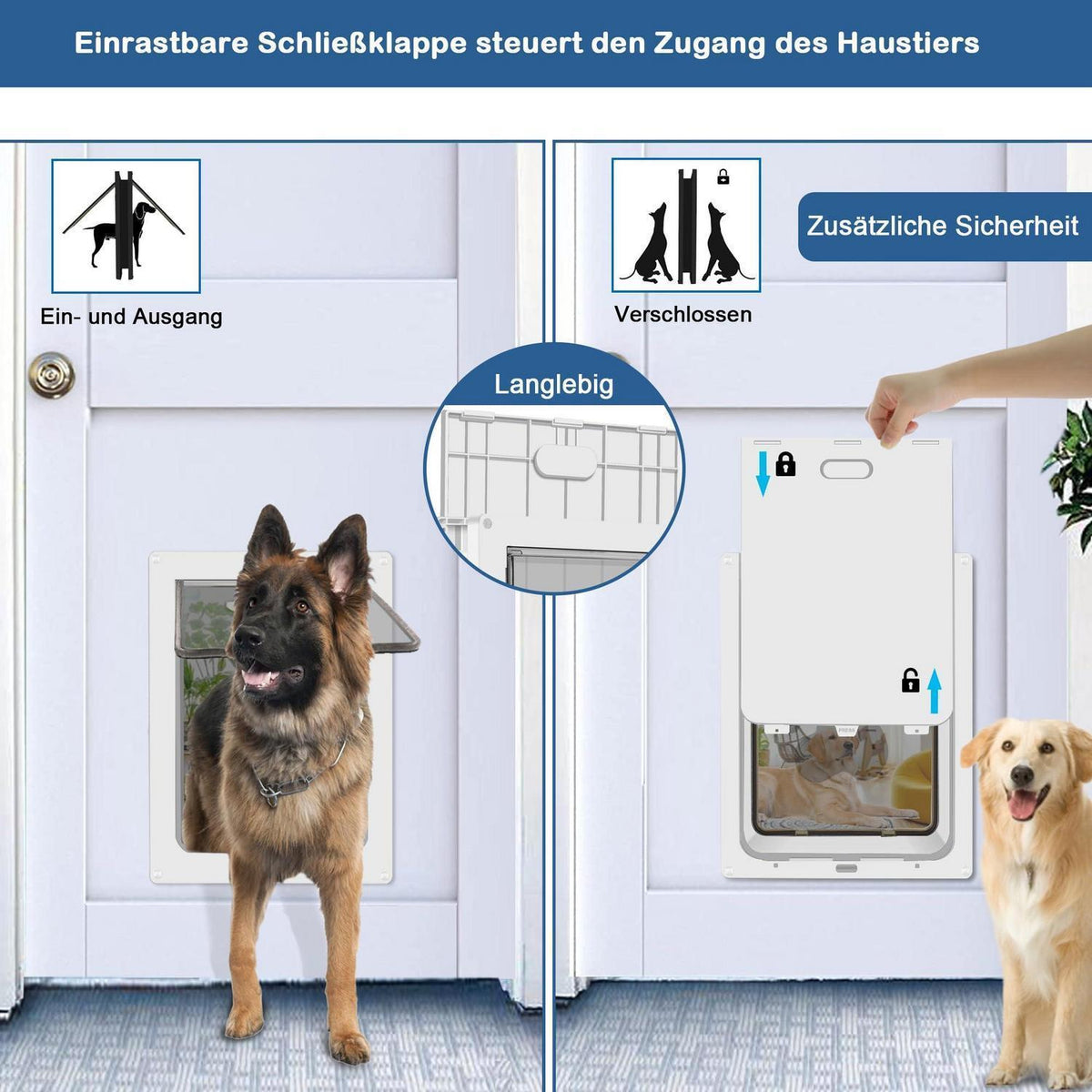 Große Hundeklappe 45kg – Wetterfest & Einfach Installieren
