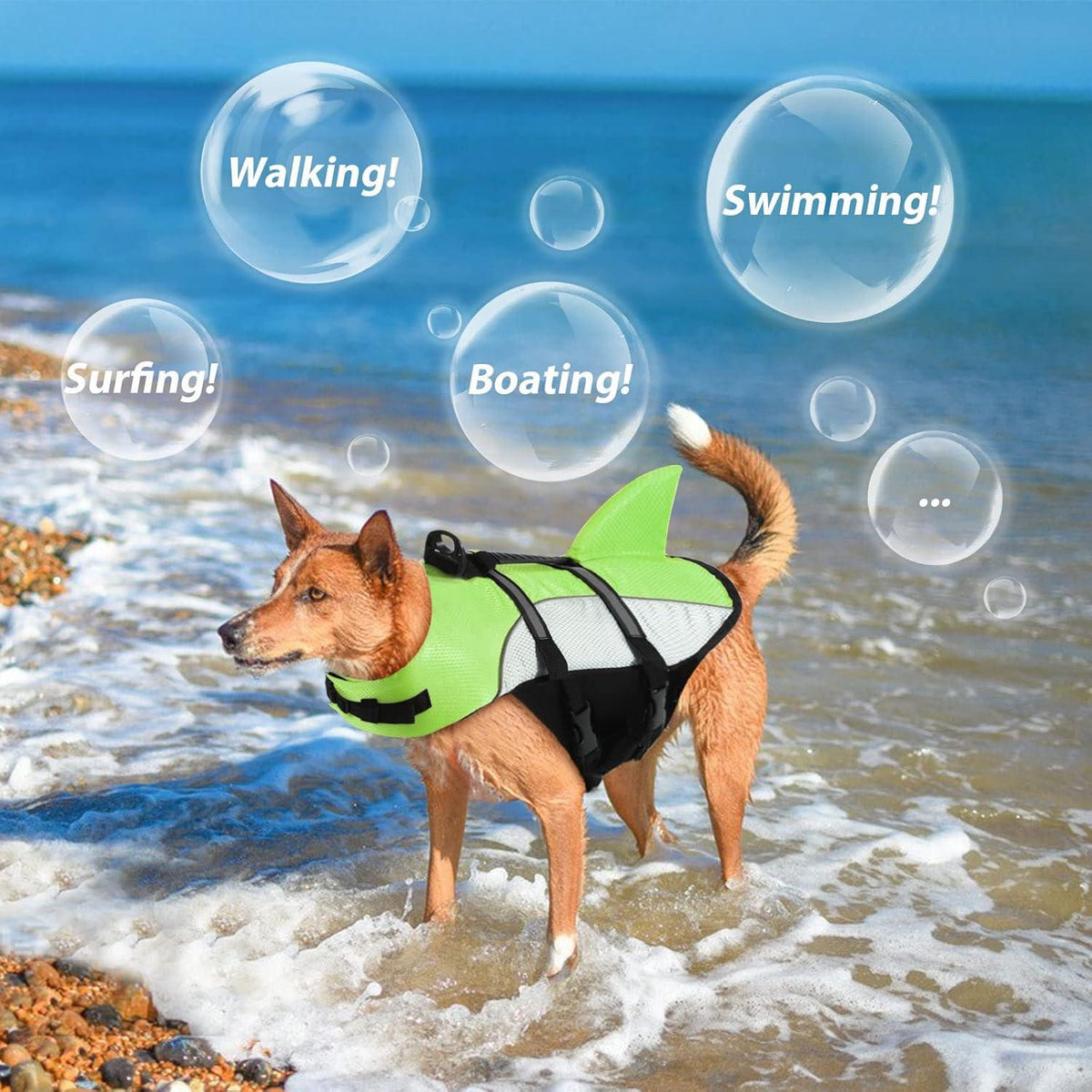 Hundeschwimmweste für mittelgroße Hunde mit hohem Auftrieb GreenN M