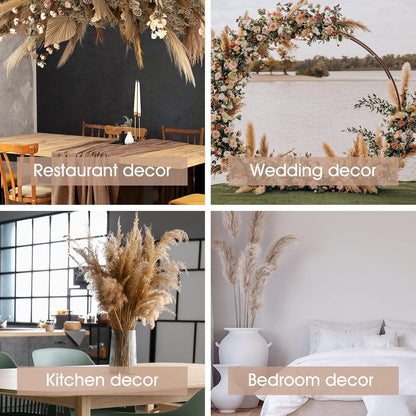 120er Pampasgras Trockenblumen Set Weiß Lagurus Schilf Boho Deko