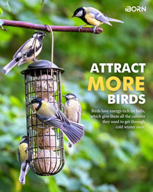iBorn Metall Fat Ball Bird Feeders Hanging Black Finish