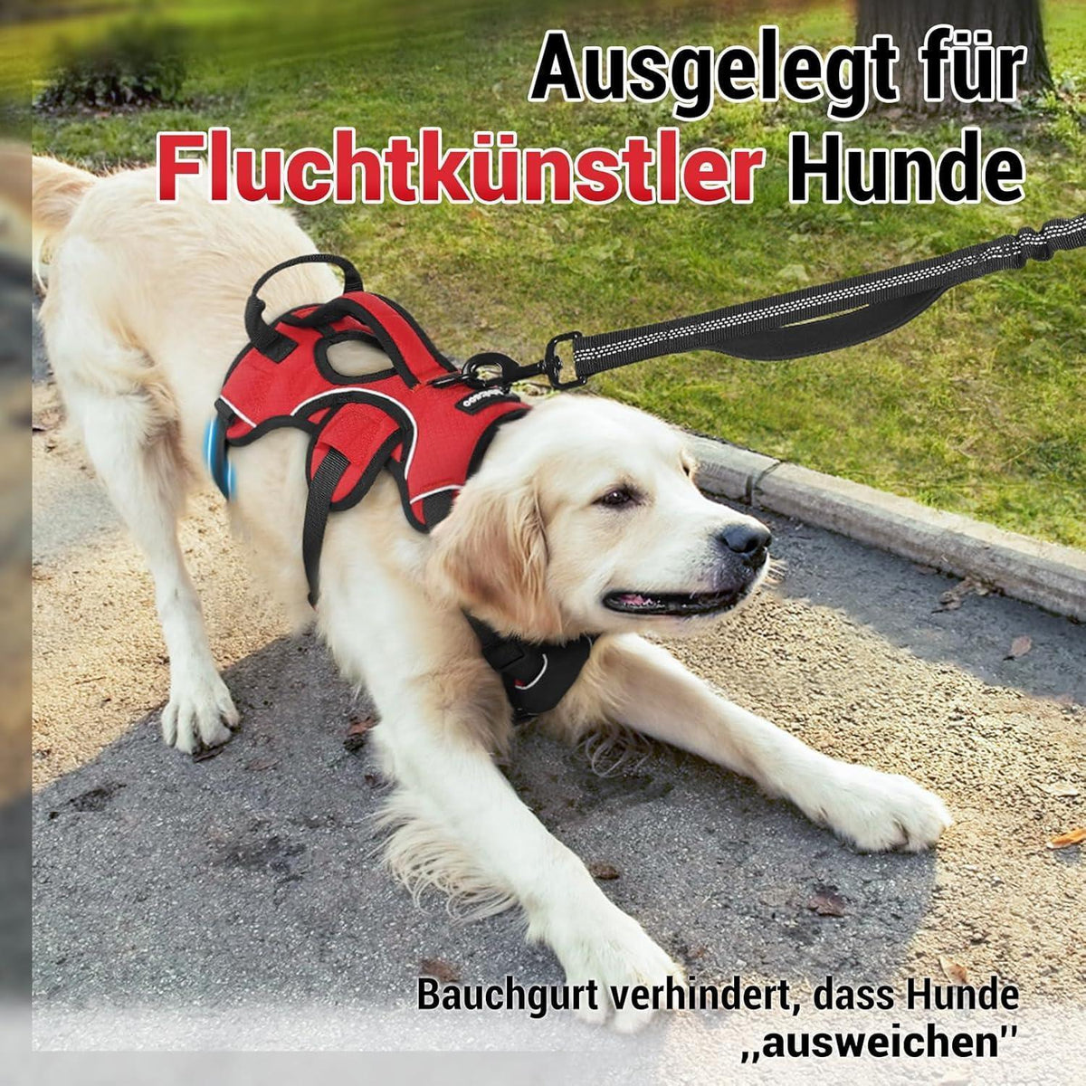 Ausbruchsicheres Hundegeschirr mit Griff, Rot M