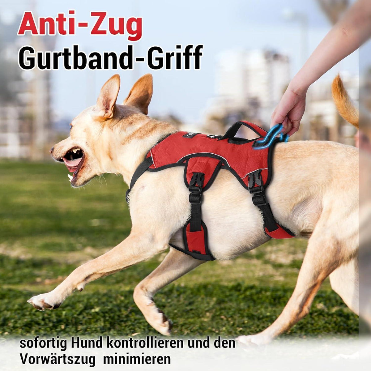 Ausbruchsicheres Hundegeschirr mit Griff, Rot M