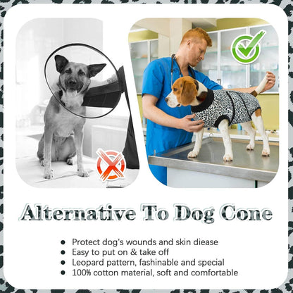 Hundebody Op Katzenbody XS Kastration Rüde Blau
