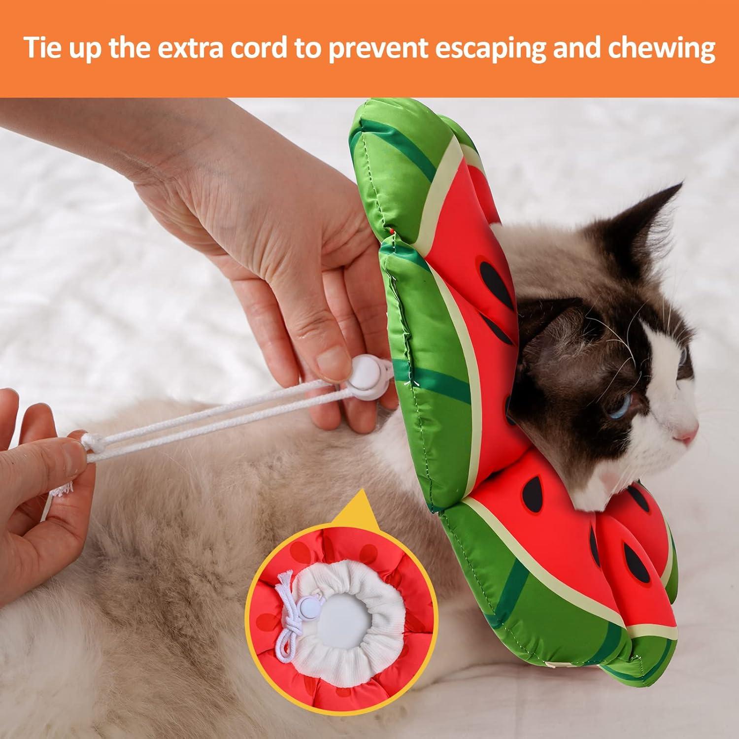 Avont Halskrause für Katzen - Weicher Leckschutzkragen - Größe L in Wassermelone