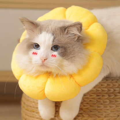 Halskrause Sonnenblume Einstellbarer für Katzen Hunde nach OP