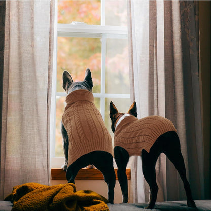 Hundepullover Stricken Weich Warm Kleine Hunde Revers Braun S
