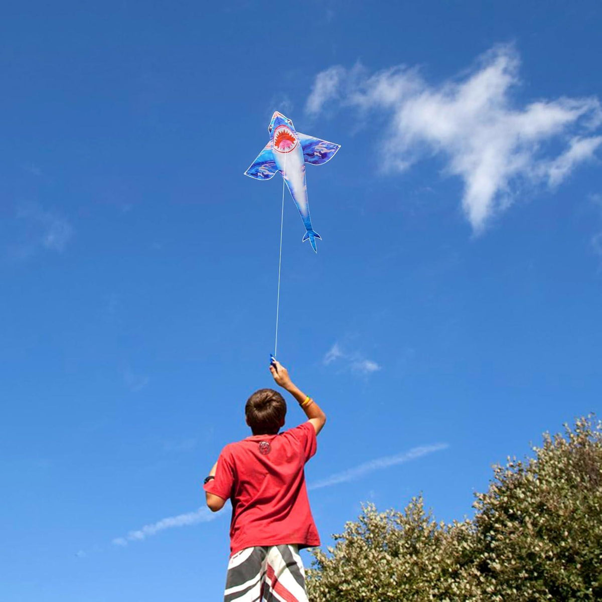 Flugdrachen für Kinder und Erwachsene - leicht zu steuern
