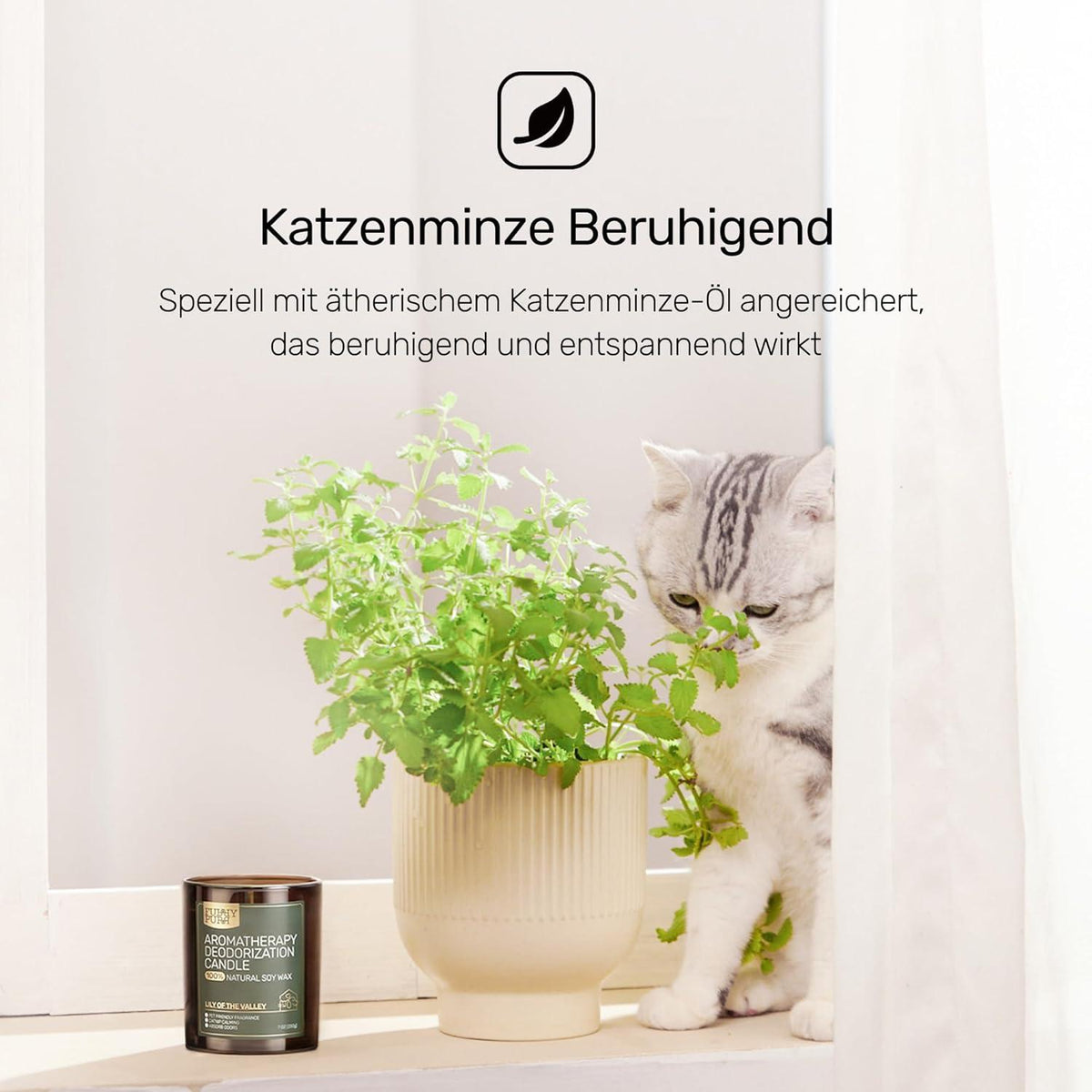 Furry Purr Duftkerze für Haustier-Geruchselimination, Handmade aus Sojawachs, Berry Rum Duft, 200g