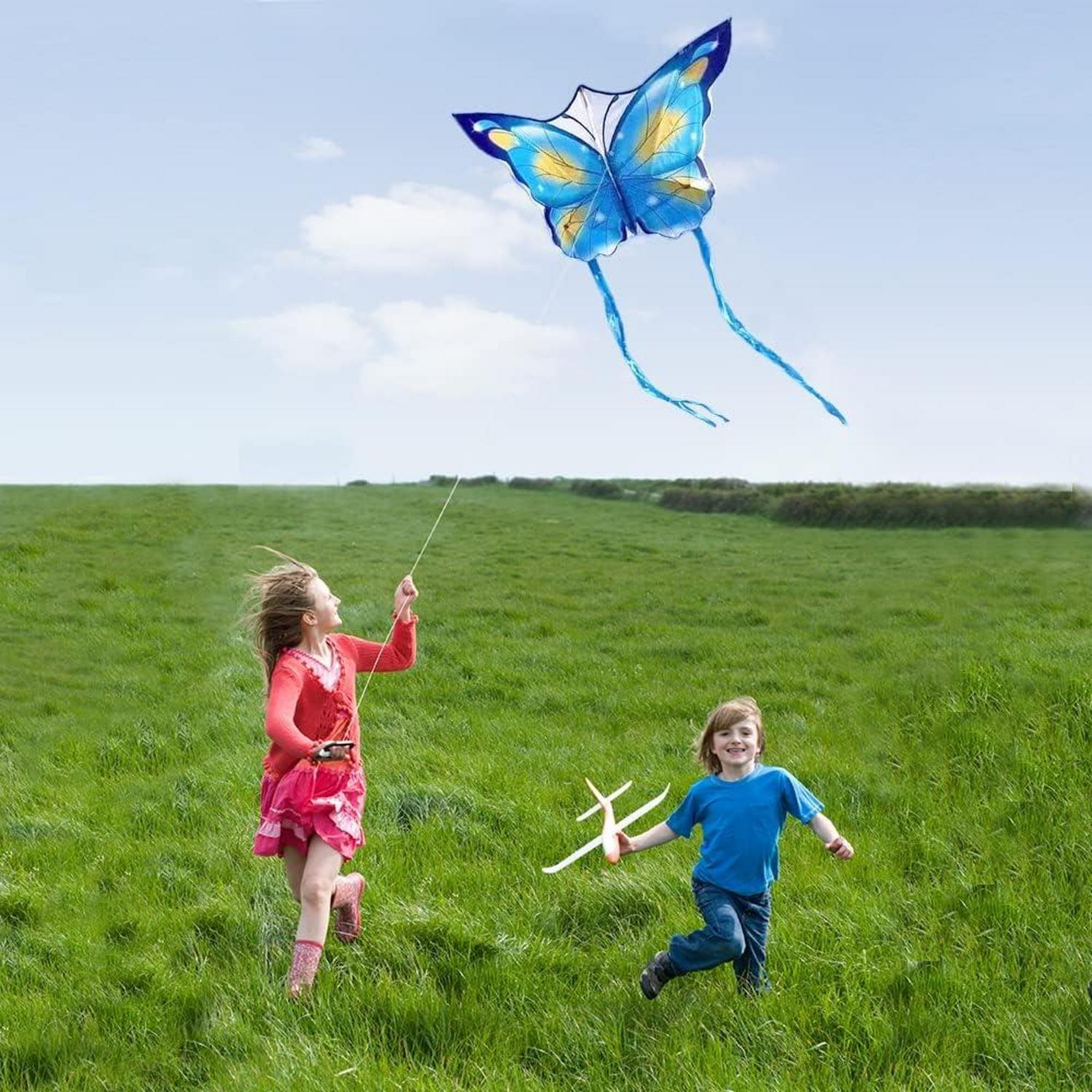 Schmetterling Drachen Kinder Erwachsene: Flugdrachen Spielzeug inkl. Zubehör