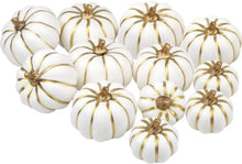 12er Set Herbst Kürbisse Weiße Goldline Halloween Deko