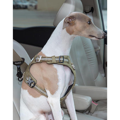 Hund Auto Sicherheitsgurt – Sicher & Komfortabel für alle Größen