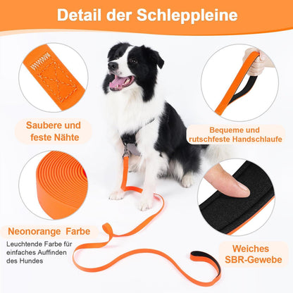 Wasserdichte Schleppleine für Hunde 10M Neon Orange mit abschließbarer Karabiner