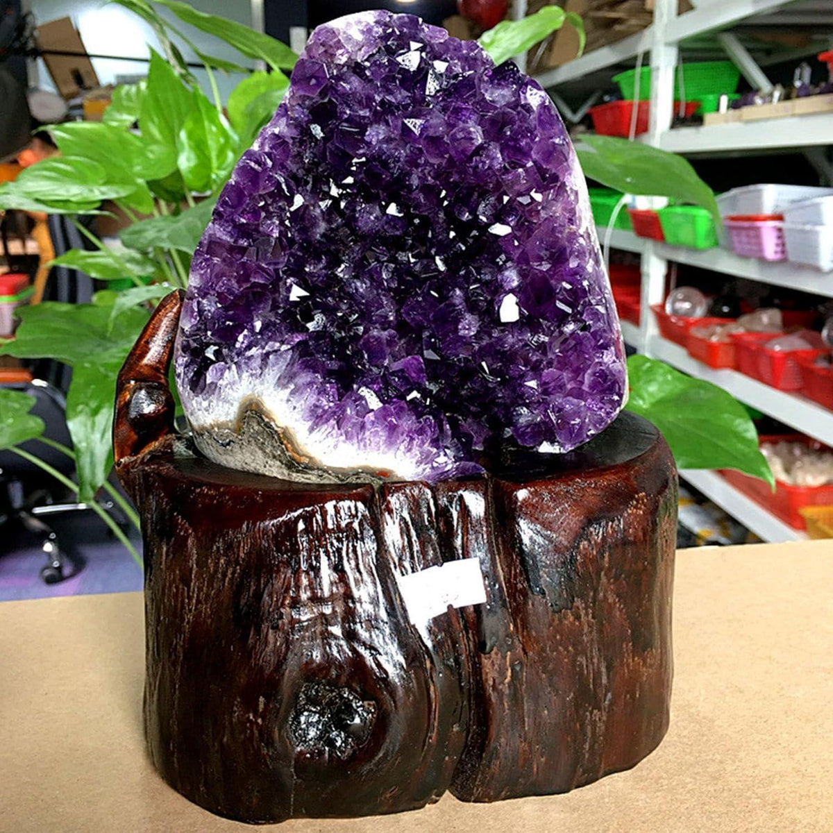 Amethyst Cluster Exemplarstein für Heimdekoration, 4kg