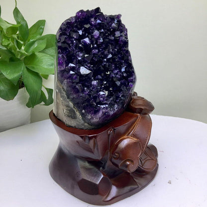Amethyst-Kristall-Cluster, 5kg, Schmuckstein für Heimdeko