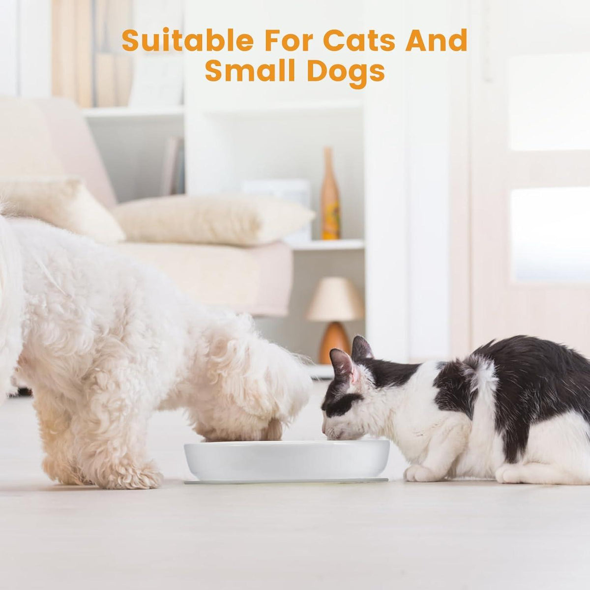 Keramik Anti Schling Napf Katze, Slow Feeder, Anti Rutsch Matte, Hohe