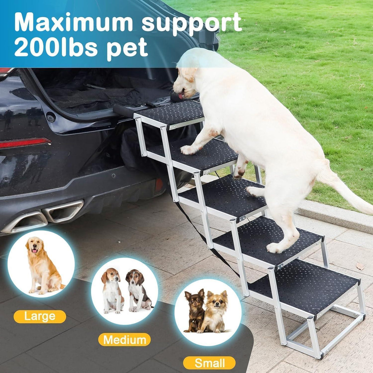 Hundetreppe Auto – 5 Stufen, Klappbar & Höhenverstellbar