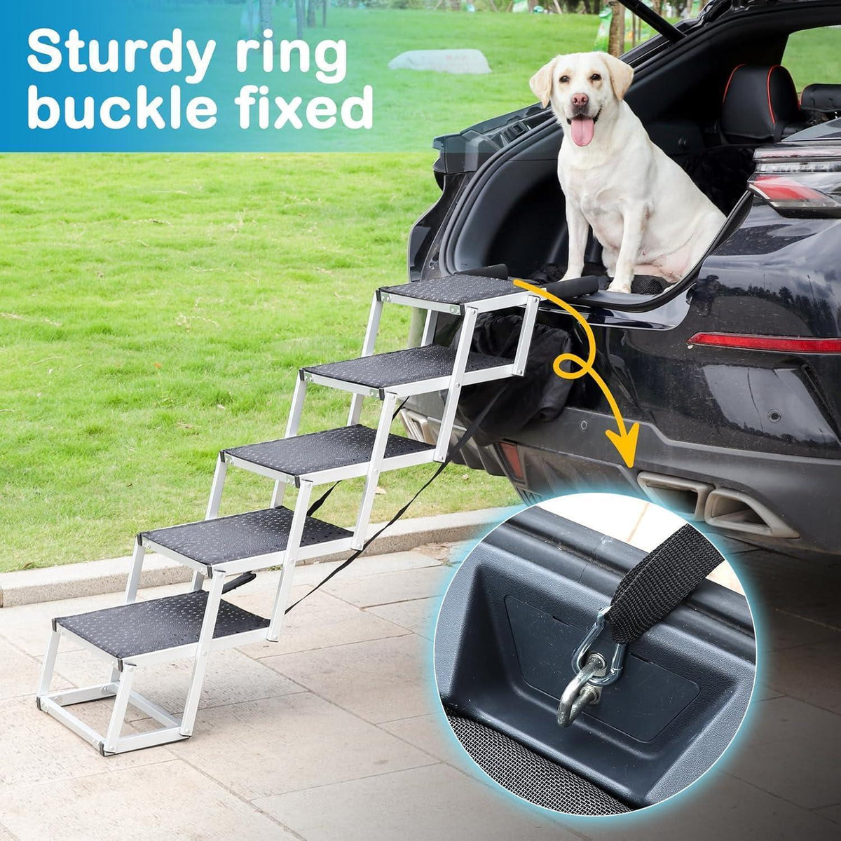 Hundetreppe Auto – 5 Stufen, Klappbar & Höhenverstellbar