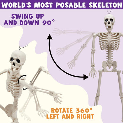 Halloween-Skelette 61 cm